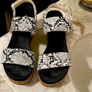 Volatile Snake Embossed Wedge size 7
